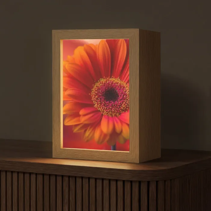 Oranje - Gerbera - Intens Light Box met kabel (Tafellamp) klein -z3d_website