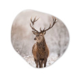 Edelhert - Bos - Sneeuw - Winter - Majestueus Wandcirkel Organisch Forex 3mm klein -3d