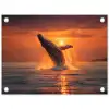 Walvis - Zon - Zee tuinposter los doek klein -3d