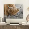 Schotse Hooglander - Dieren - Bruin - Koe - Zwart - Wit - Natuur PET vilt klein -sfeer1