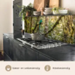 Quetzal - Jungle - Natuur - Groen keuken achterwand 2 middel -usp_NL