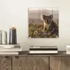 Koala - Bladeren - Ochtendlicht plexiglas 5mm klein -sfeer1