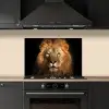 Leeuw - Dieren - Zwart - Licht - Bruin - Portret keuken achterwand spatscherm klein -sfeer1