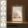 Schelp - Detail - Beige Light Box met kabel (Tafellamp) klein -USP_NL