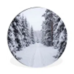 Bos - Winter - Sneeuw - Pad - Natuur Wandcirkel aluminium klein -3d