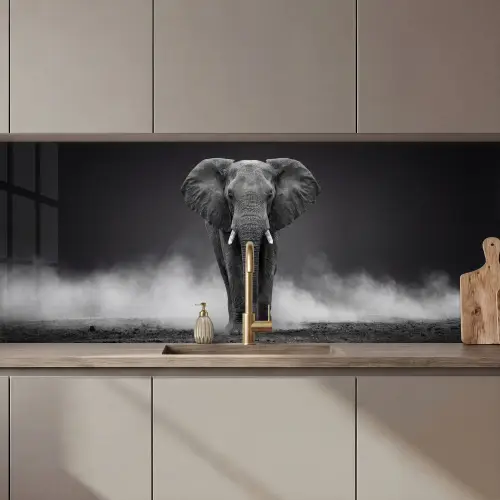 Olifant - Zwart - Wit - Rook keuken achterwand 2 middel zz_3dshopping