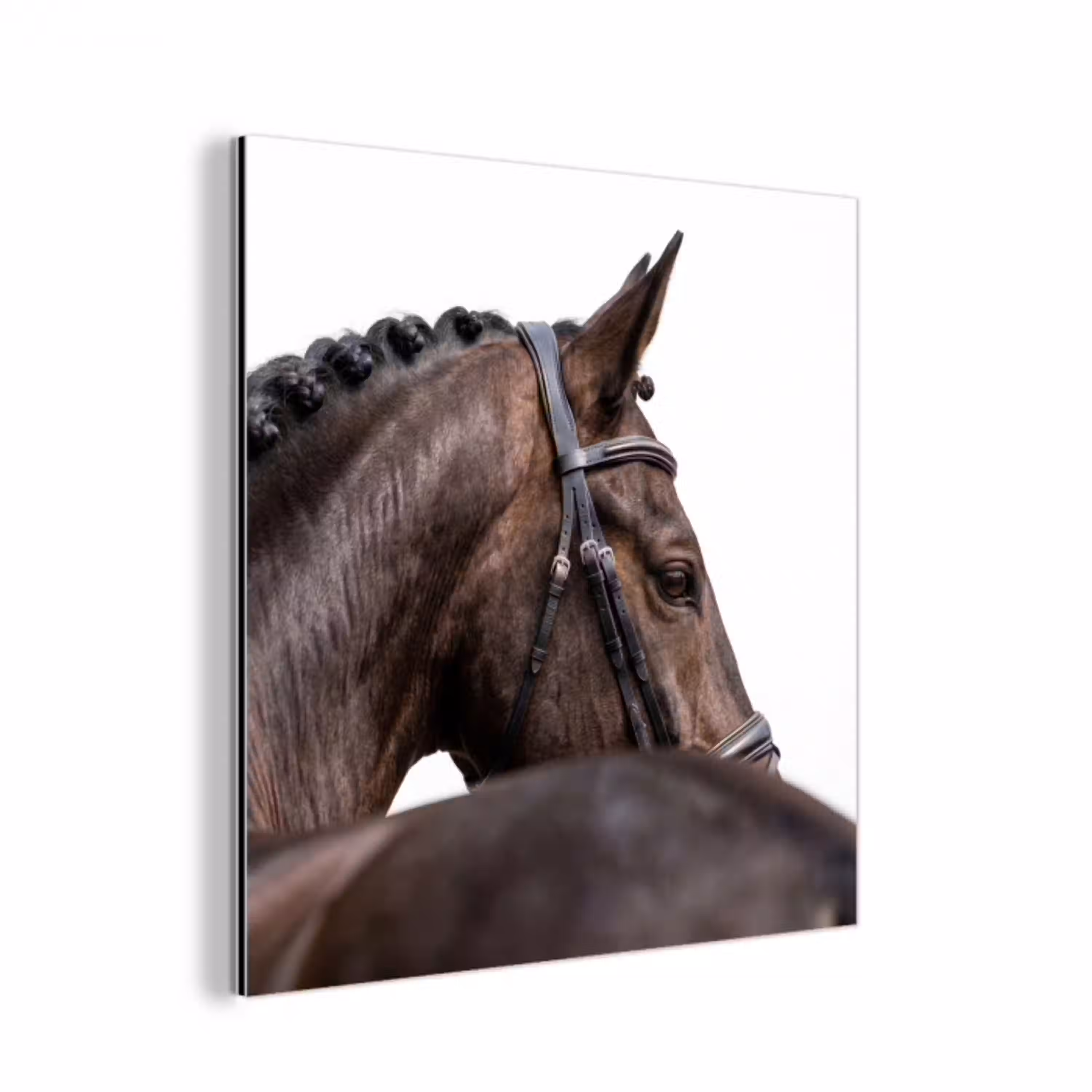 Portret - Paard - Elegant aluminium wit klein -3d