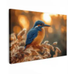 IJsvogel - Herfst - Vogels - Zon - Natuur - Herfsttakken Tuinposter op houten frame 2 cm dik klein -3d