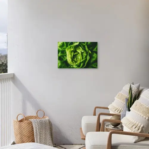 Groente - Sla - Groen Tuinposter op houten frame 2 cm dik klein -sfeer1