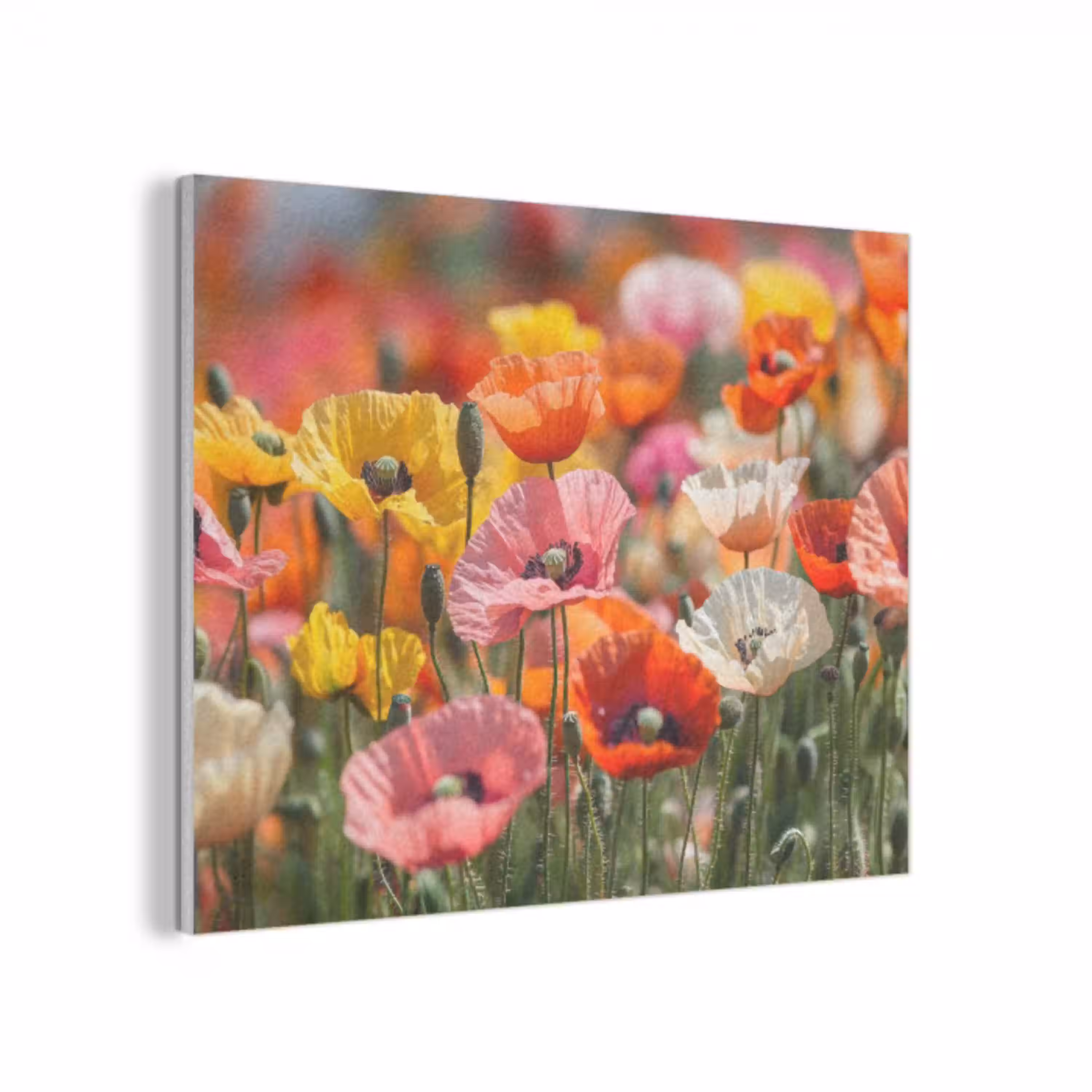 Bloemenveld - Klaprozen - Kleurrijk PET vilt klein -3d