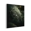 Blad - Groen - Nerven - Regendruppels aluminium wit klein -3d