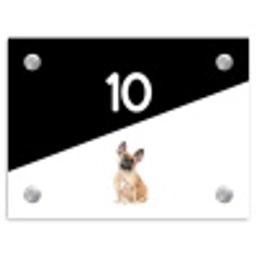 Zwart wit - Huisdier - Franse bulldog Naambord Rechthoek middel -3d