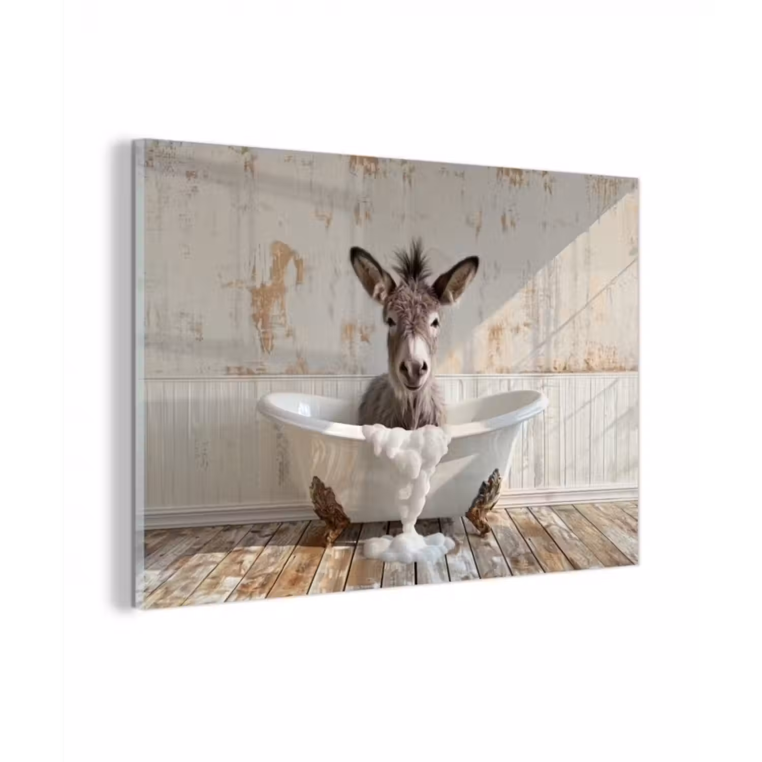 Glasbild - Esel - Tiere - Badewanne - Schaumstoff