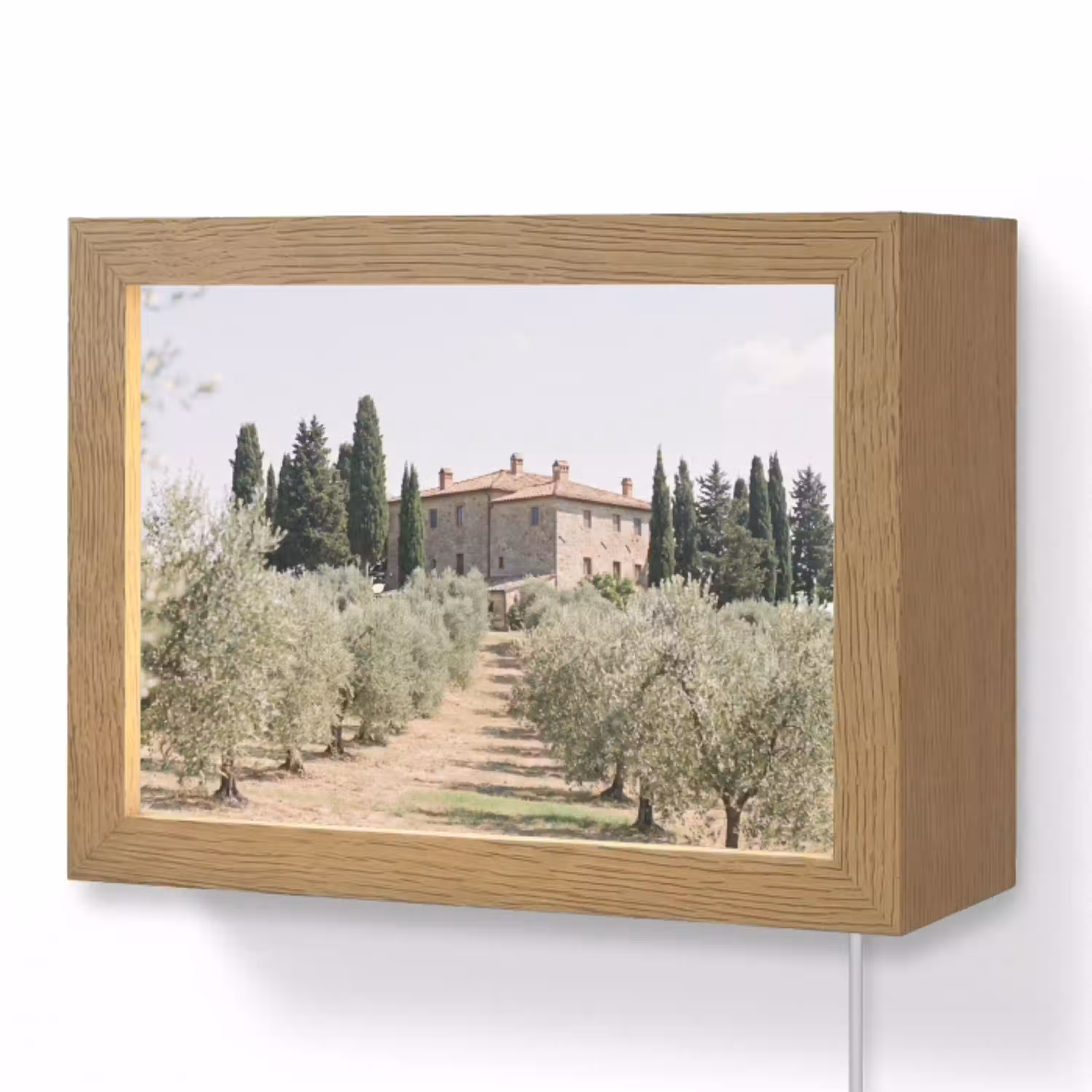Landhuis - olijfboom - gaard Light Box met kabel (Wandlamp) klein -3d
