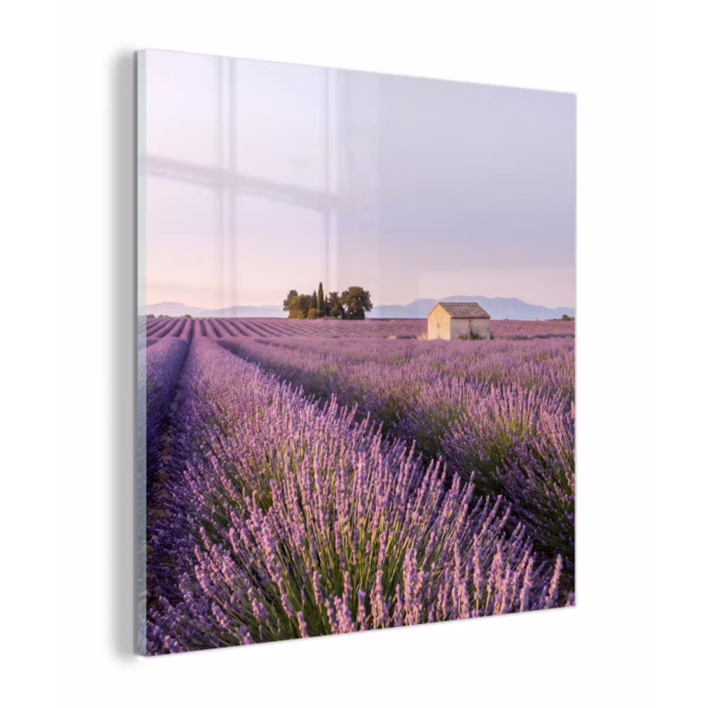 Lavendel - Landschap - Sereen - Paars plexiglas 5mm klein -z3d