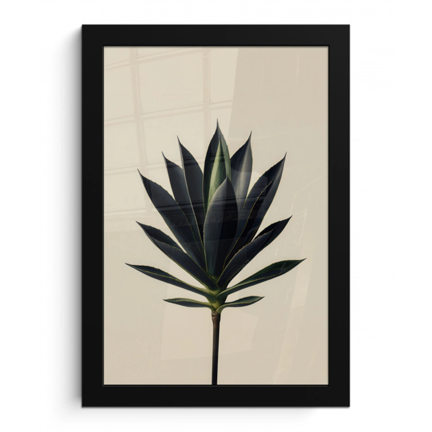 Agaveplant - Symmetrisch - Groen fotolijst zwart zonder passe partout klein -3d