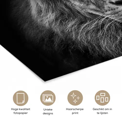 Leeuw - Dieren - Zwart - Wit poster papier klein -closeup_NL