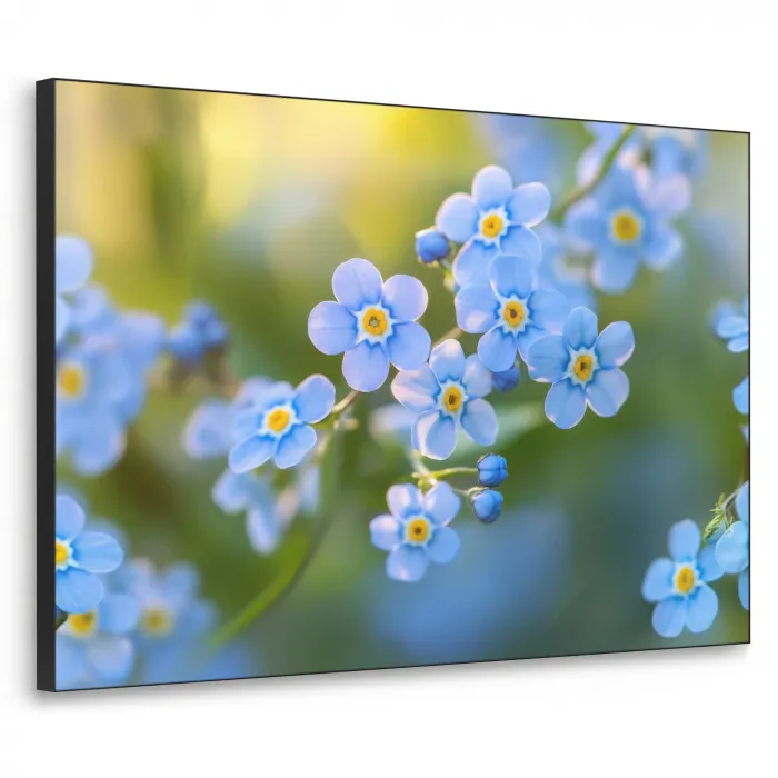 Bloemetjes - Blauw - Vergeet mij nietjes Textielframe zwart klein -3d