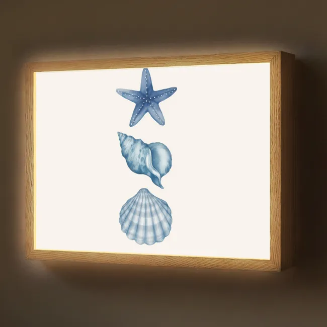 Lightbox - Starfish - Shells - Blue