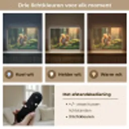 Eekhoorn - Nootje - Gras Light Box met batterij (Wandlamp) middel -USP_lichtkleurNL