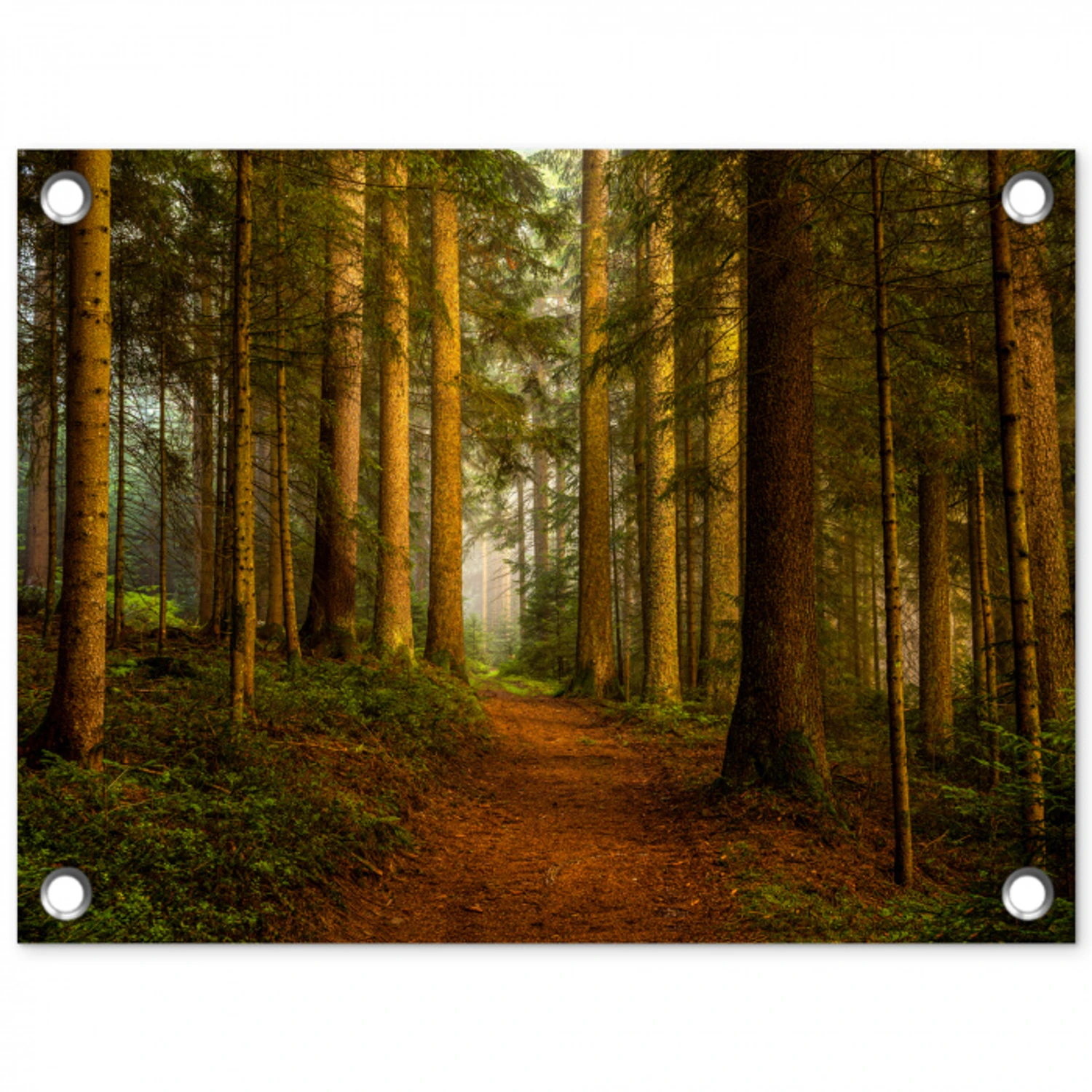 Pad door majestueus dennenbos tuinposter los doek klein -3d