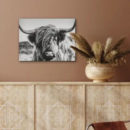 Schotse hooglander - Close up - Horens - Vacht - Zwart Wit PET vilt klein -sfeer4