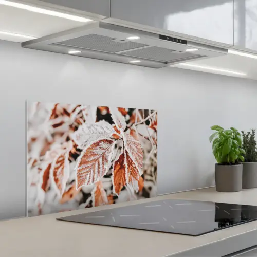 Bladeren - IJs - Winter - Natuur keuken achterwand spatscherm klein -3d_schuin