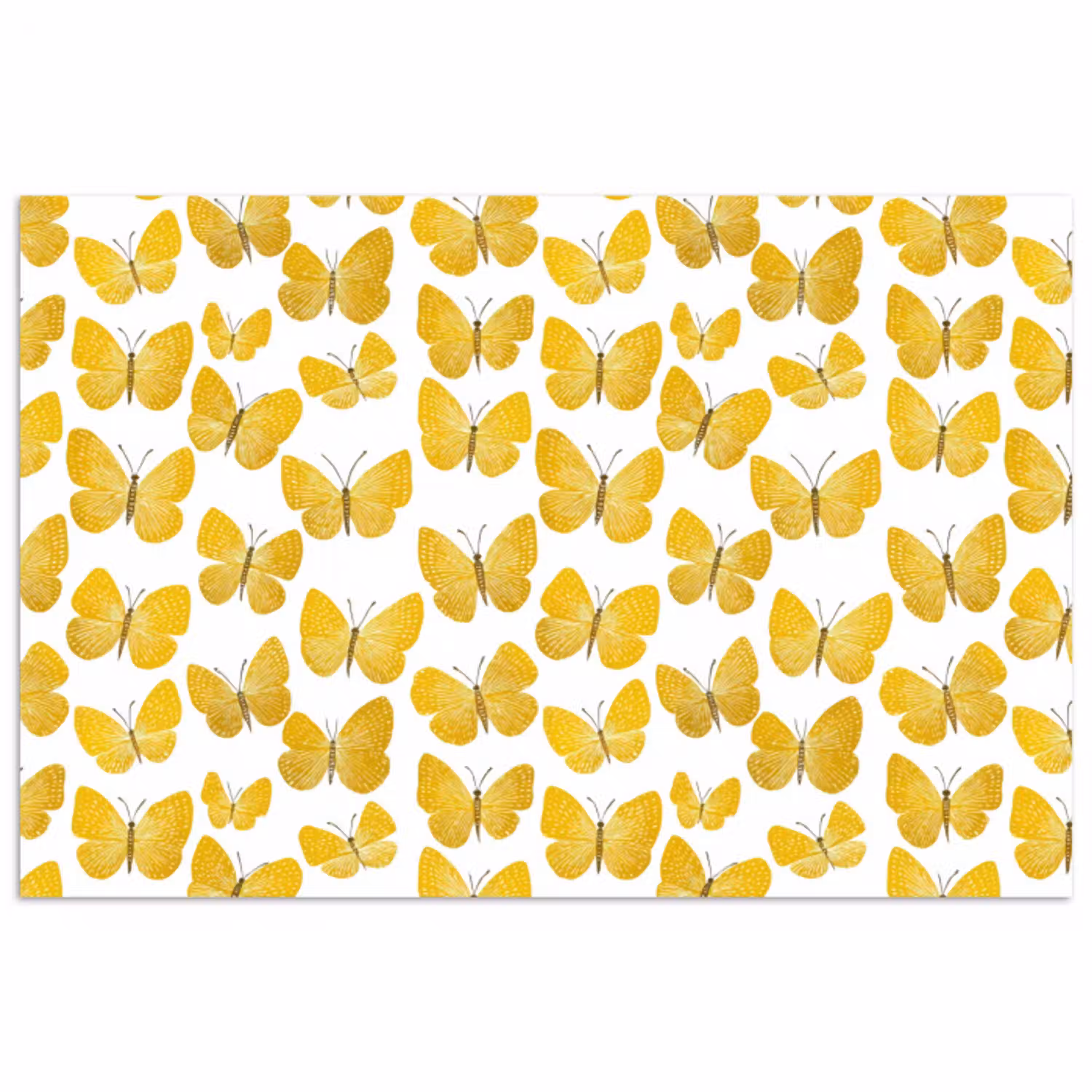Vlinders - Botanisch - Illustratie - Geel - Wit poster papier klein 62 -3d