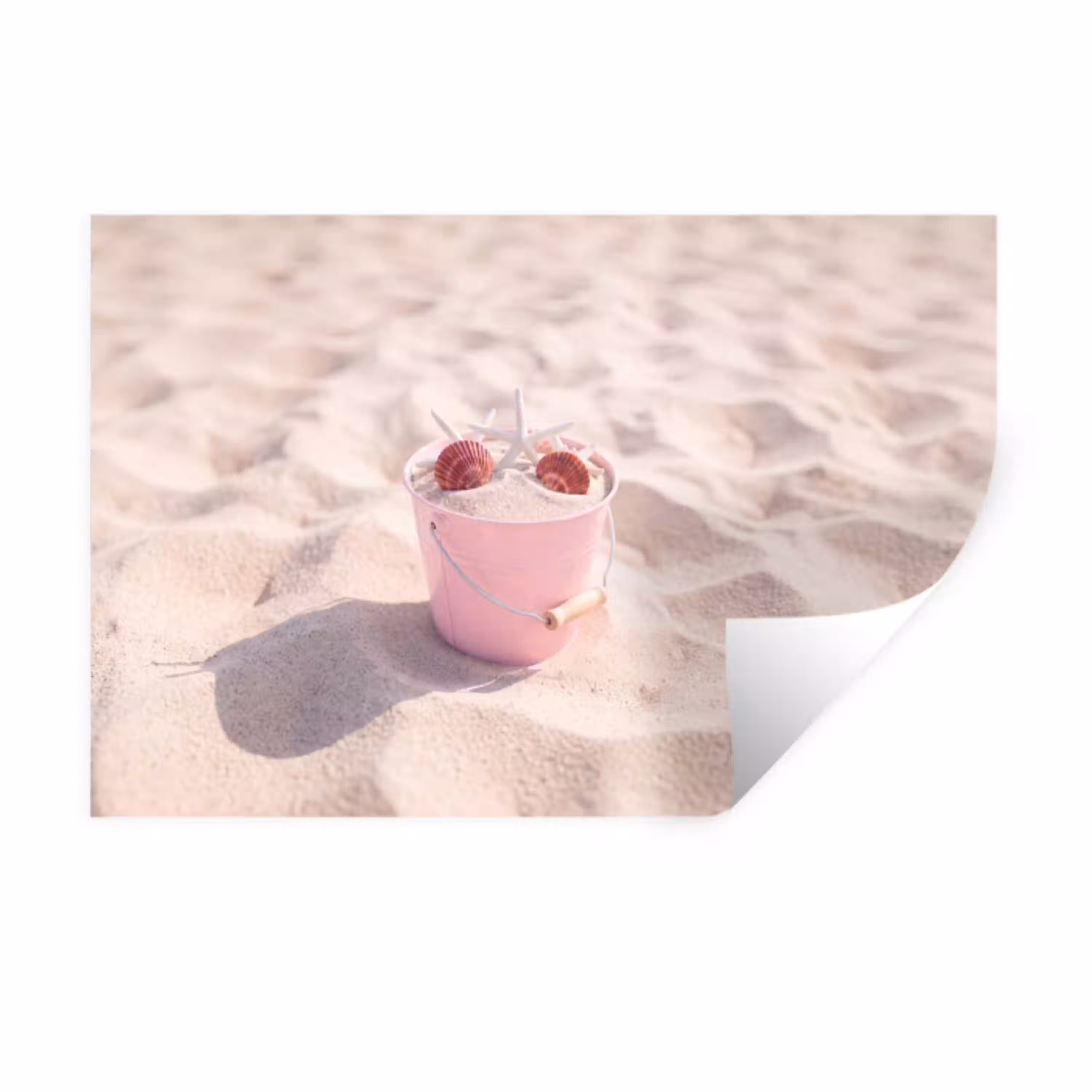 Strand - Schelpen - Zomer - Roze - Decoratie Muursticker klein -3d