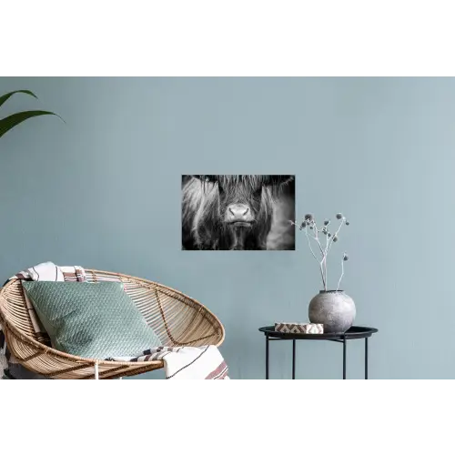 Schotse hooglander - Koe - Zwart - Wit - Dieren Muursticker klein -plant