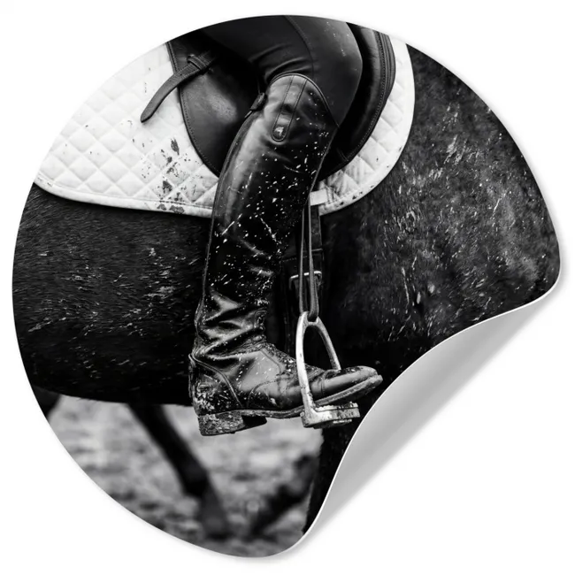 Behangcirkel - Paard - Sport - Zwart - Wit