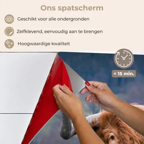 Schotse Hooglander - Koeienkop - Landschap - Natuur - Koe keuken achterwand spatscherm klein -spatscherm_NL