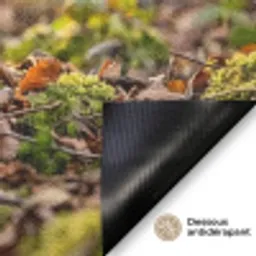 Houtsnip - Bos - Bladeren - Herfst - Gecamoufleerd Deurmat klein -antislip_FR