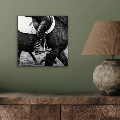 Paard - Sport - Zwart - Wit aluminium wit klein -sfeer2