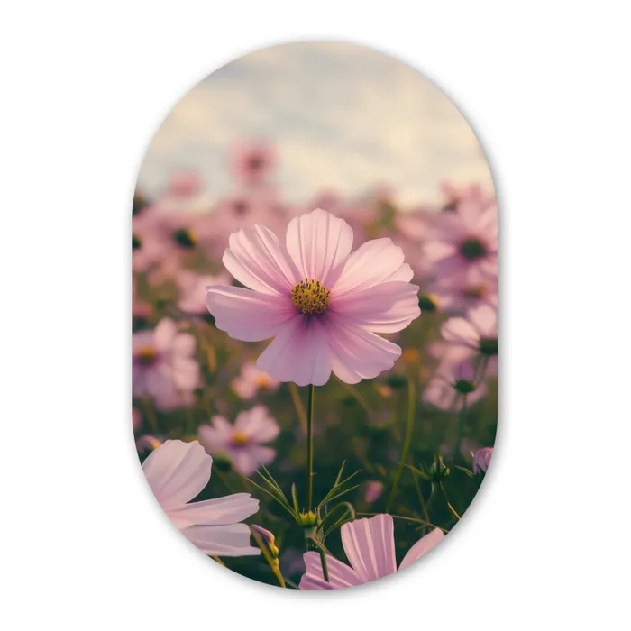 Bloemen - Paars - Wazig Wandcirkel Ovaal Glas middel -3d
