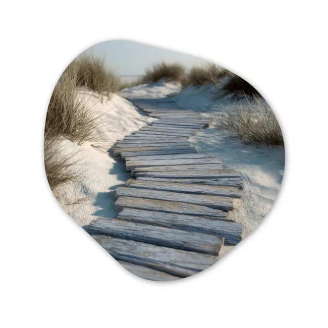 Organisch schilderij aluminium - Pad - Planken - Duinen - Gras