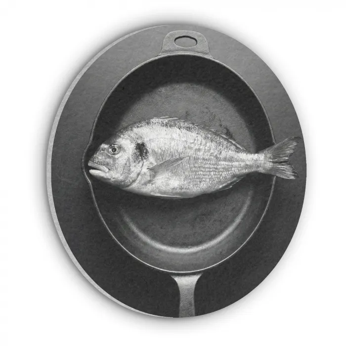 Pan - Vis - Zwart - Wit Akoestische PET Vilt - Rond klein -3d