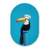 Tucan - Sokkel - Vogel - Koksmuts Wandcirkel Ovaal Forex klein -3d