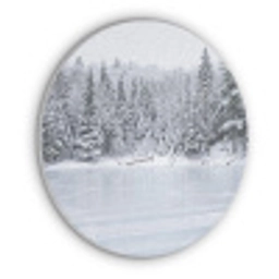 Meer - Dennen - IJs - Winter - Rustgevend Akoestische PET Vilt - Rond klein -3d