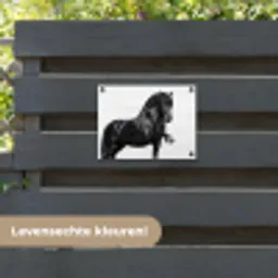 Fries - Hengst - Modern tuinposter los doek klein -sfeer3