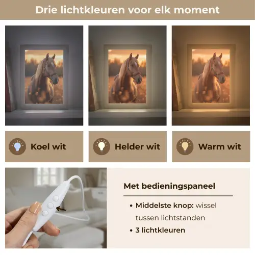 Paard - Natuur - Dier - Bruin - Dieren portret Light Box met kabel (Tafellamp) klein -USP_lichtkleurNL