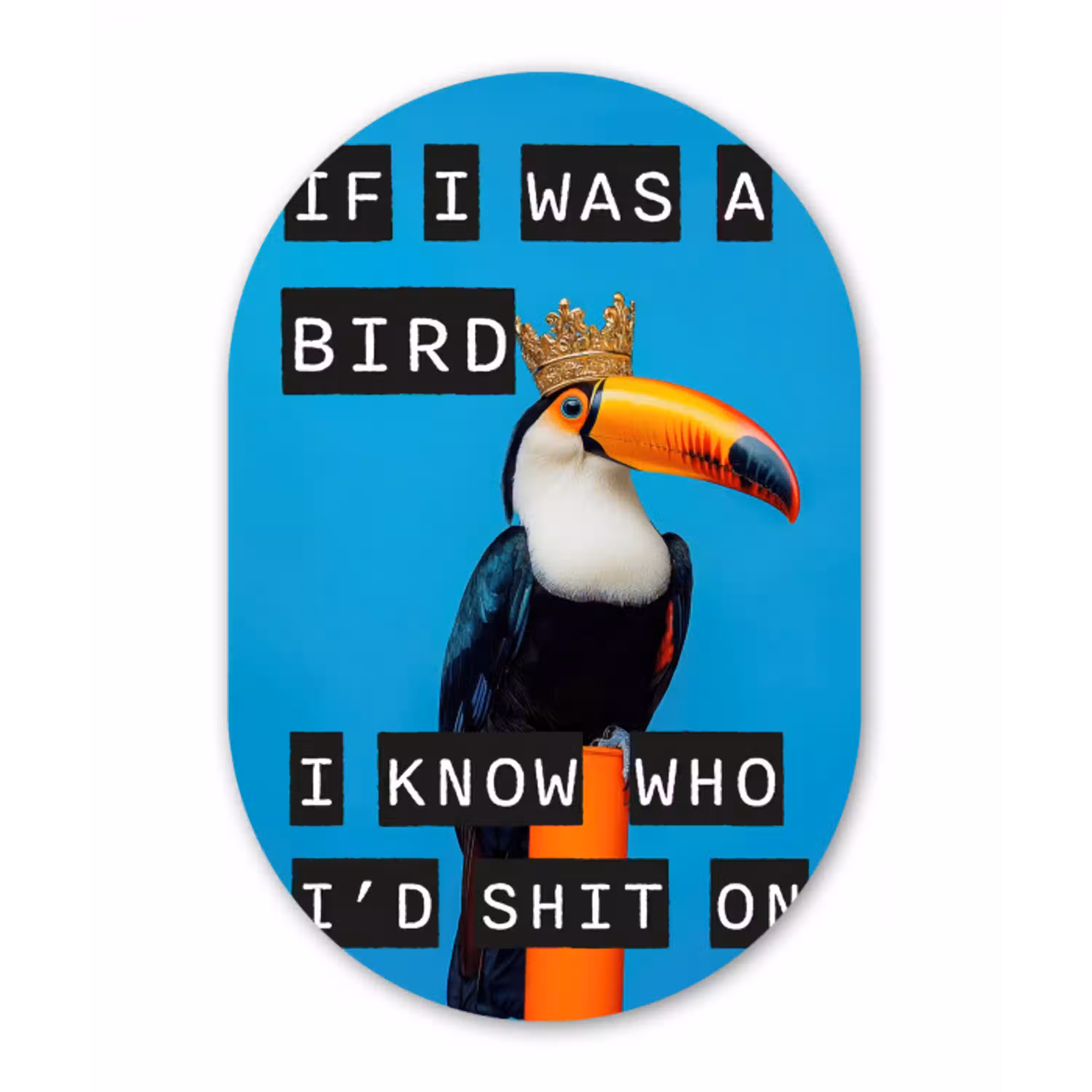 Vogel - Toekan - Blauw - Quotes Wandcirkel Ovaal Glas middel -3d