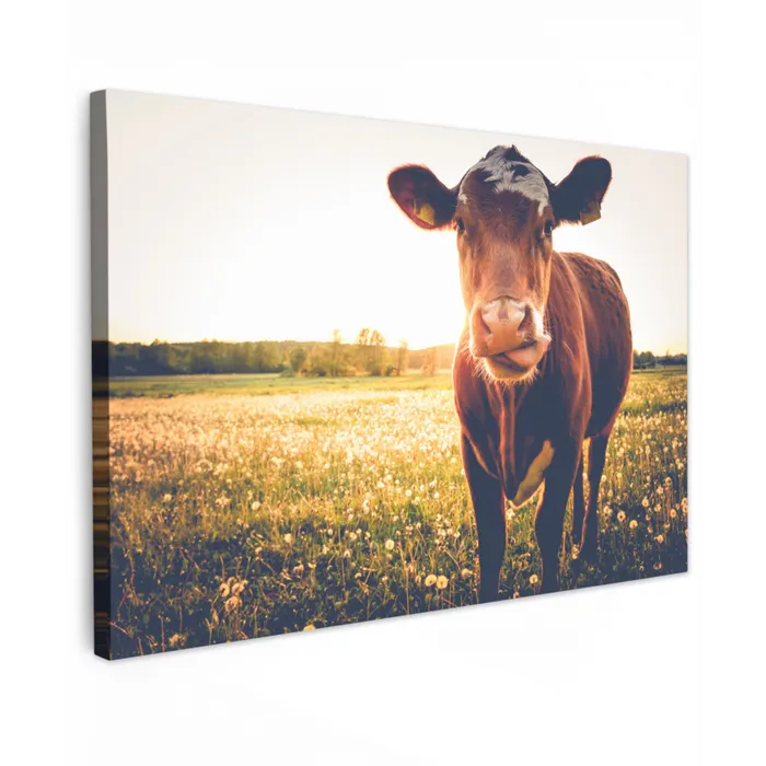 Koe - Zonsondergang - Bloemen - Gras - Dieren canvas 2cm klein -z3d