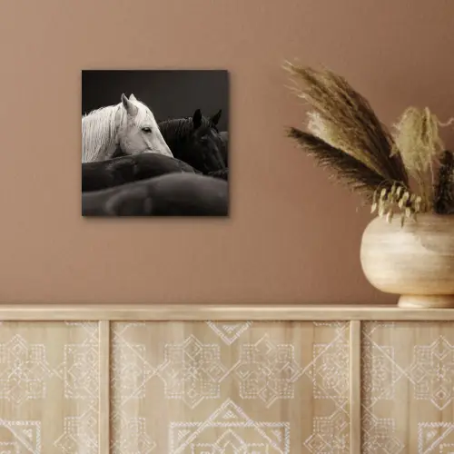 Paarden - Zwart - Wit - Kudde aluminium wit klein -sfeer4