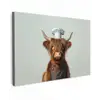 Schotse Hooglander - Bruin - Hoorns - Kokskleding canvas 2cm klein -z3d