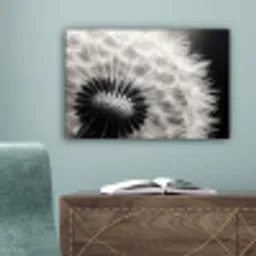 Paardenbloem - Zwart - Wit canvas 2cm klein -sfeer4