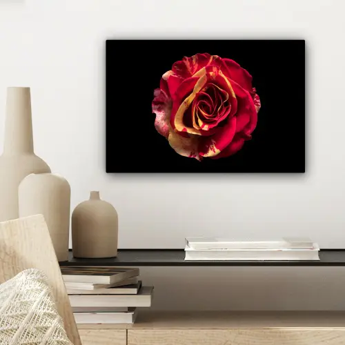 Bloem - Roos - Rood - Zwart canvas 2cm klein -sfeer6