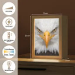 Amerikaans - Zeearend - Portret - Geel Light Box met kabel (Kinderlampje) klein -USP_DE
