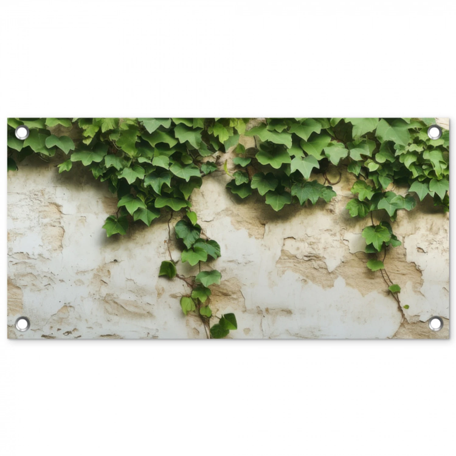 Klimop - Muur - Groen tuinposter los doek klein -3d