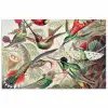 Kolibrie - Vintage - Ernst Haeckel - Vogel - Kunst - Natuur poster papier klein -3d